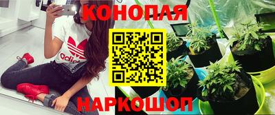 индика Балашиха