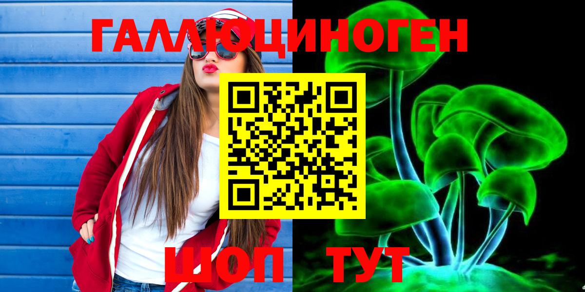 Гай  Псилоцибиновые грибы MAGIC MUSHROOMS  Вход с VPN  Галлюциногенные грибы мухоморы 