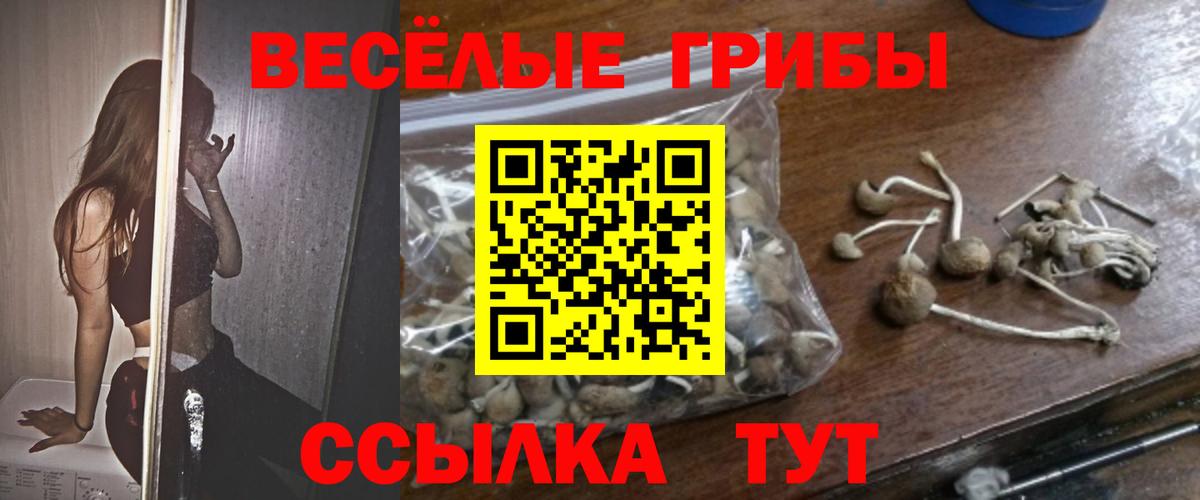 Псилоцибиновые грибы ЛСД Гай